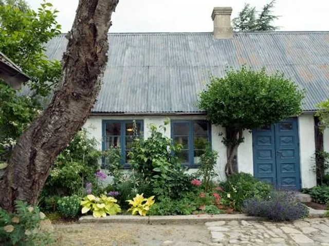 photo-1