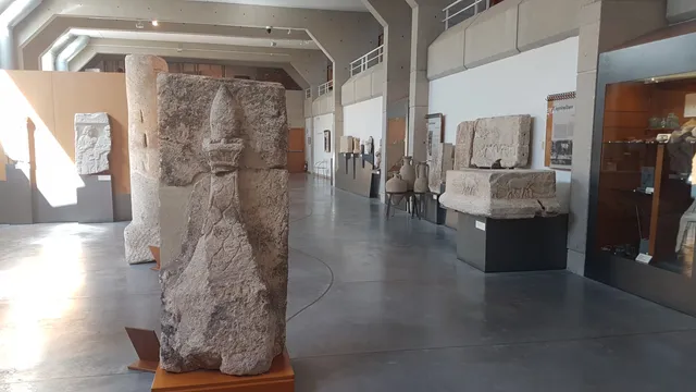 Museum of Art and History