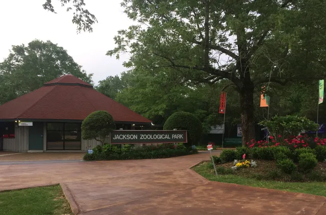 The Jackson Zoo
