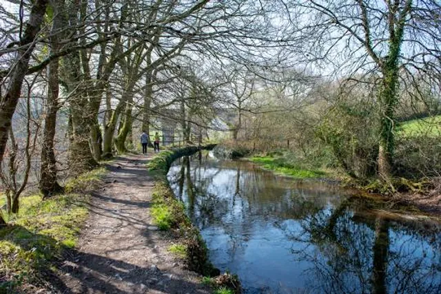 Tavistock Canal
