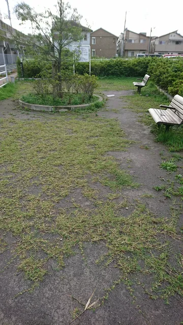 Miyamoto 4-chome Park