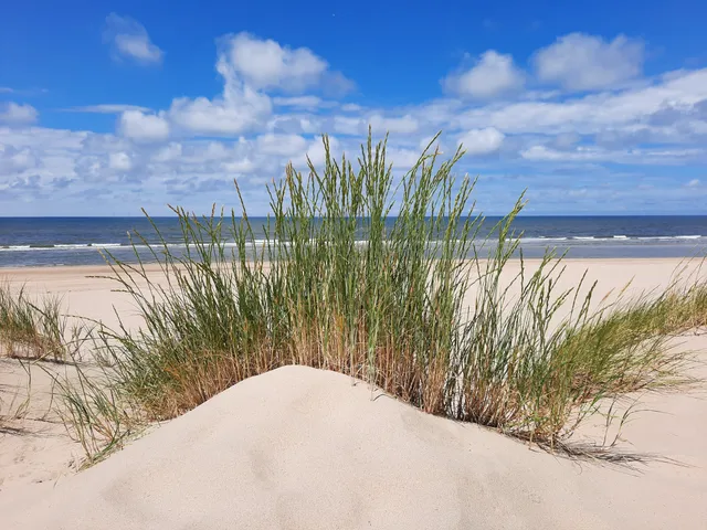 FKK-Strand Egmont Süd