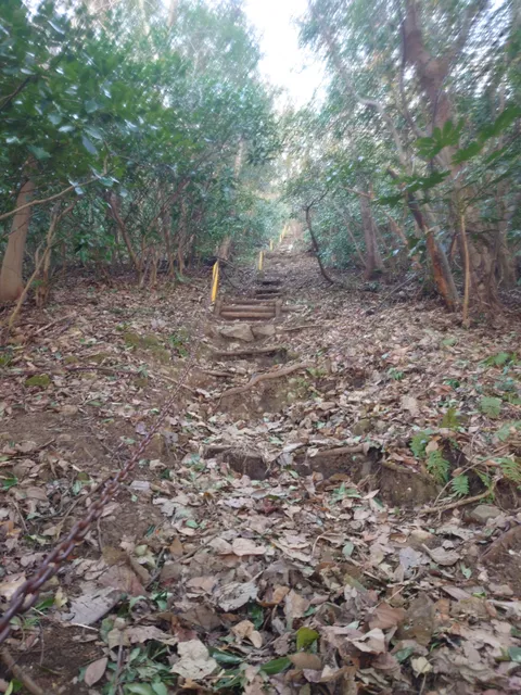 photo-2