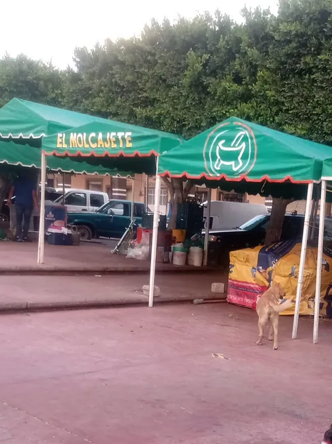 "El Molcajete Arenal"