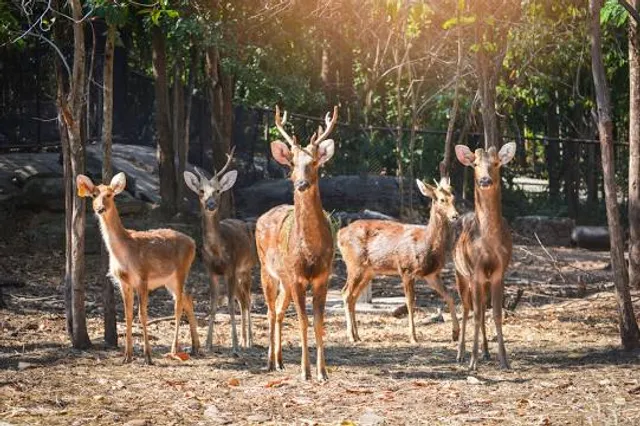 Hastinapur Wildlife Sanctuary