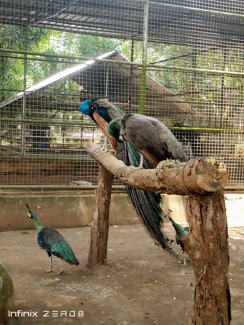 Kebun Binatang Citra Satwa Celebes
