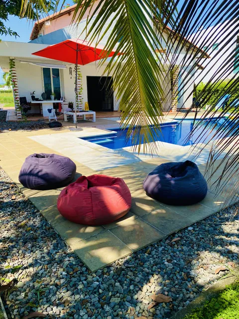 With Us by Coccoloba