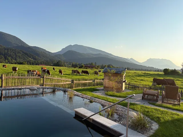 active chalets six.nine.eight