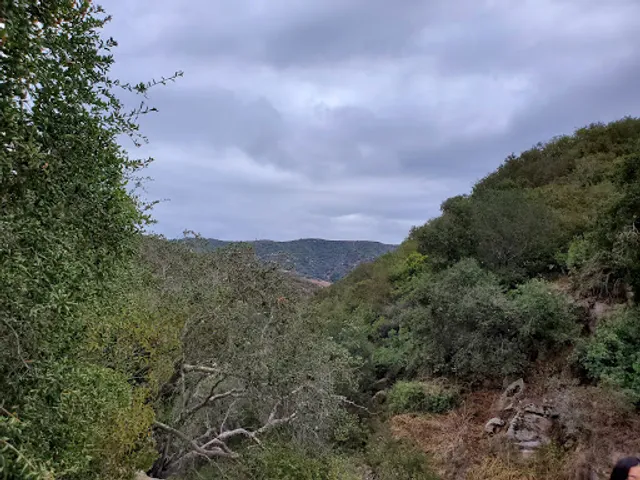 Laguna Canyon Wilderness Park Laurel Canyon Waterfall (seasonal)