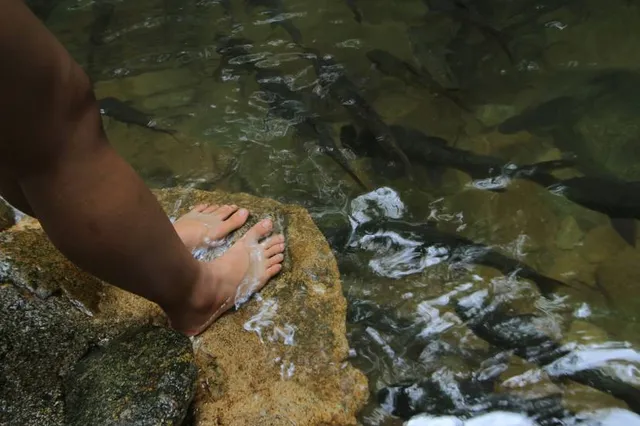 Caldas Novas Mountain State Park