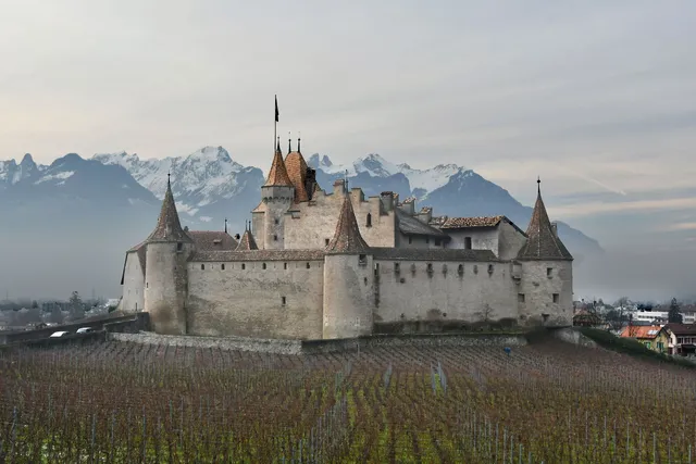 Musée de la vigne,du vin, de l'étiquette