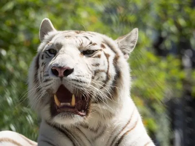 Ema Gordon Klabin Cultural Foundation