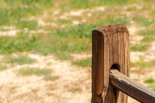 Visit Seili | Själö