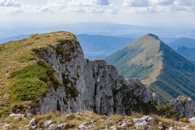 Gadzin Han Municipality