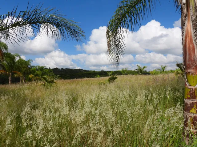 La Majahua Ecological Park
