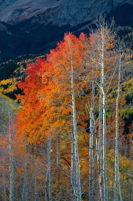 Nature Park House of the Zittau Mountains