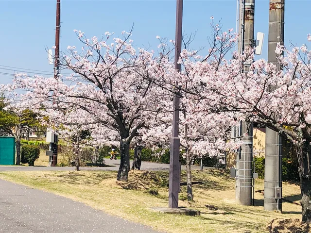 Kusu Center Green Park