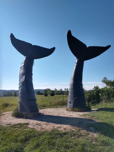 Reverence (Whales Tails)