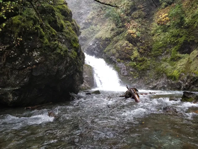 Thunderbird Falls