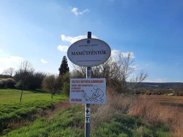 Budakeszi, Giant Sequoias