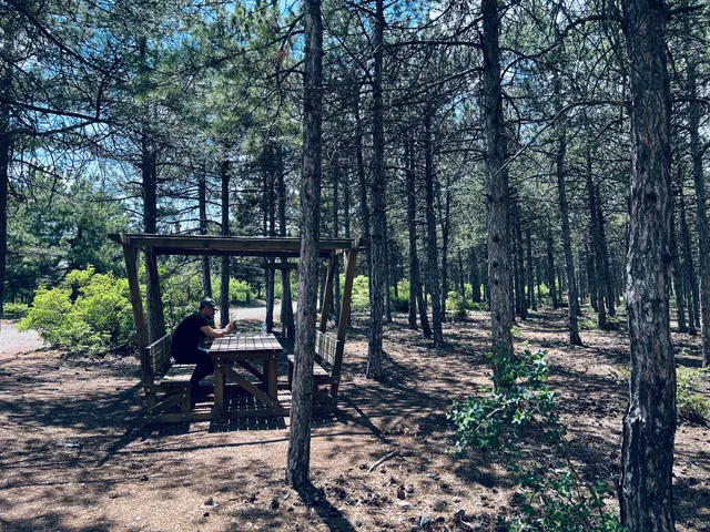 Eskişehir Urban Forest