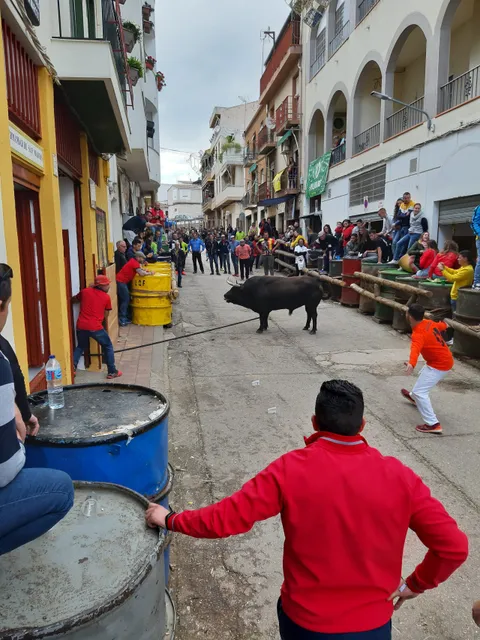 Hermandad de San Marcos