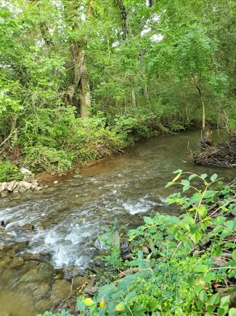 Harvey Park