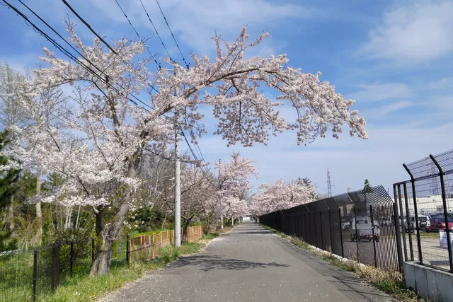 仙台港多賀城地区緩衝緑地運動広場