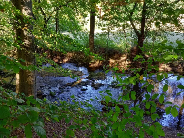 Elpetal bei Gevelinghausen