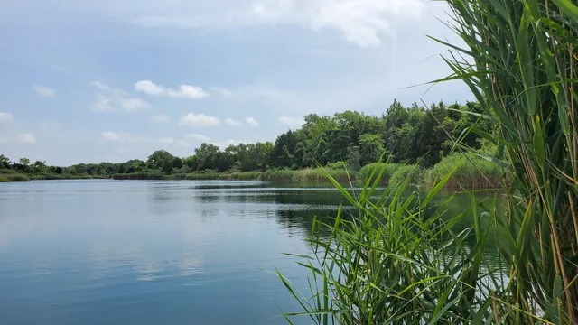 Mazonia-Braidwood State Fish and Wildlife Area