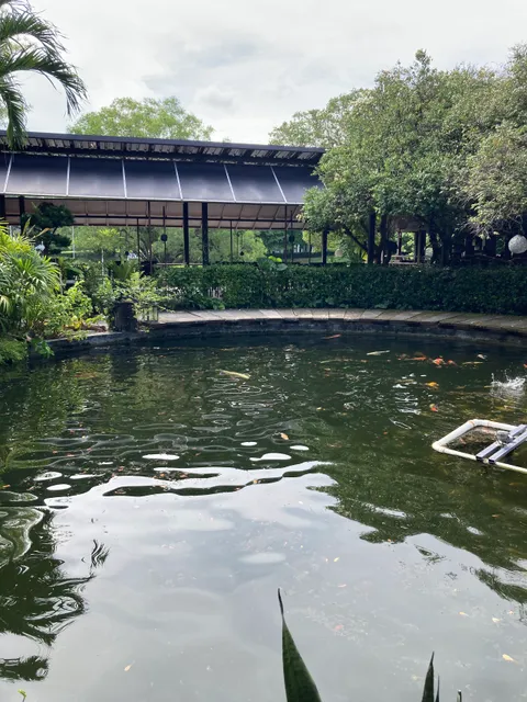 Sentul Park Koi Center