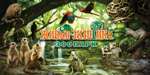 Mini-Zoopark Zhivaya Ekzotika, Ekspozitsiya Zateryannyy Mir