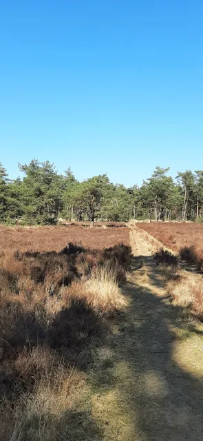 Boswachterij Leersum
