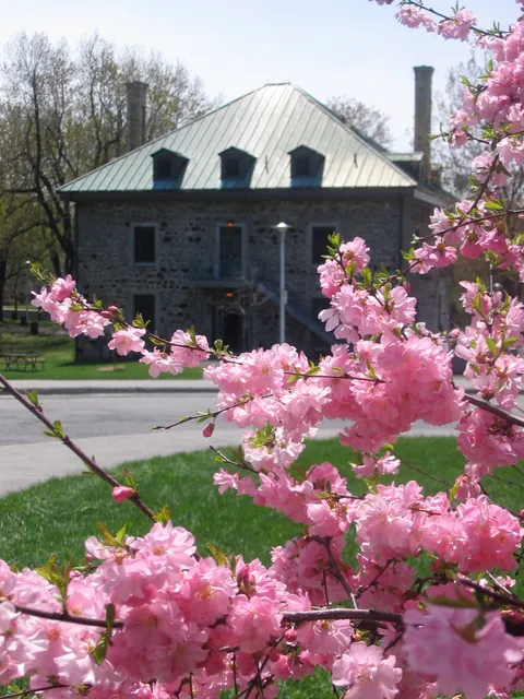 Les Amis de la montagne