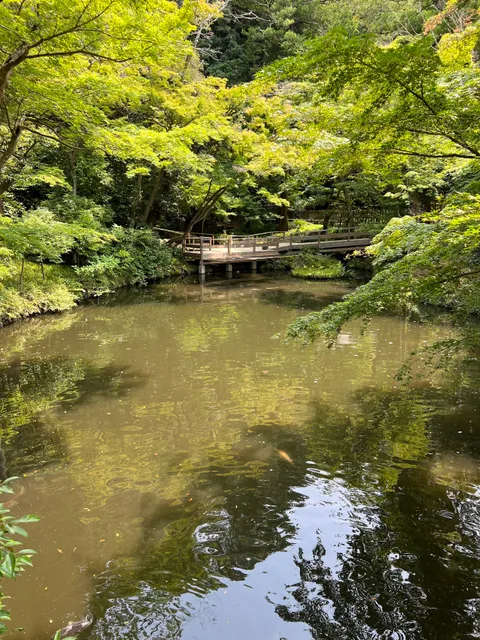 Yanagihara Divine Pond