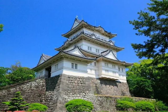 photo-1