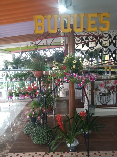 Vitrine das Flores Park