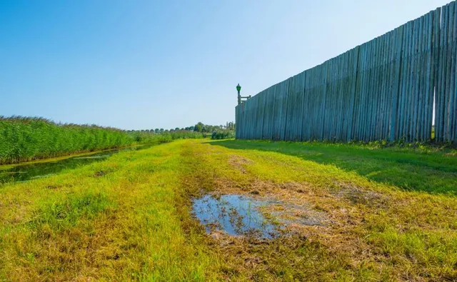 Tagurpidi Maja (Peapeal OÜ)
