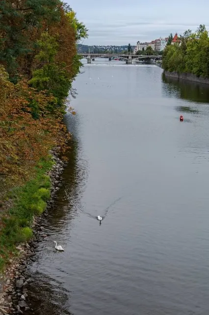 American Legion Memorial Bridge