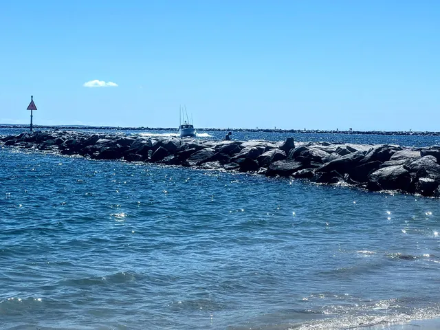 photo-1