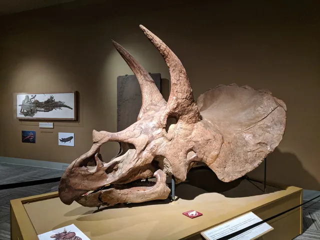 University of Colorado Museum of Natural History