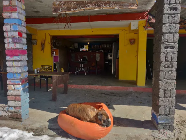 The Birdhouse Cakery