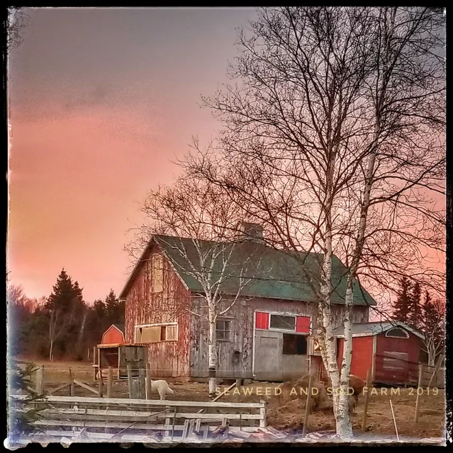 Seaweed and Sod Farm Bed and Breakfast