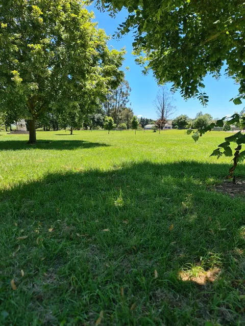 Culverden Domain Camping Ground