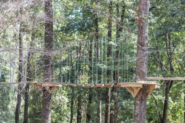 Magnolia Ridge Adventure Park