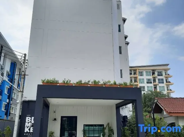 Blu Monkey Boutique Bangsaen Chonburi