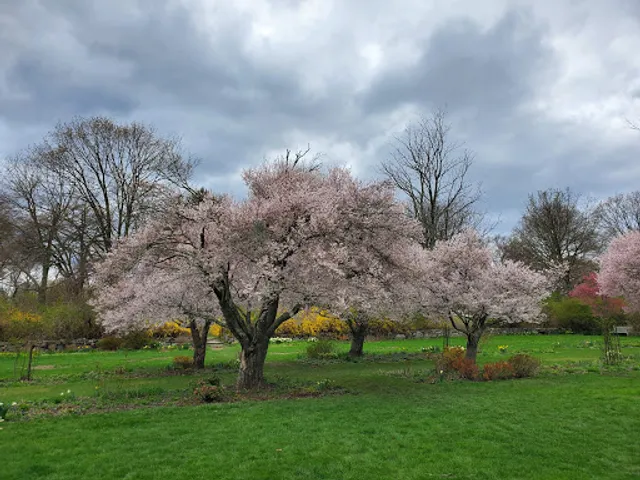 New Jersey Botanical Garden