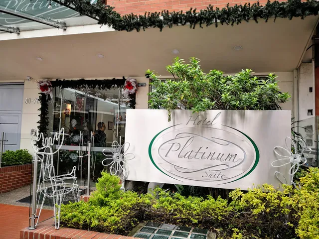 Hotel Platinum Suite Hotel