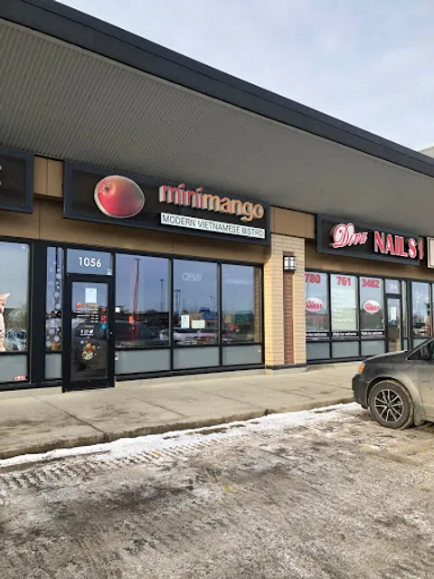 Mini Mango: Vietnamese and Thai Cuisine