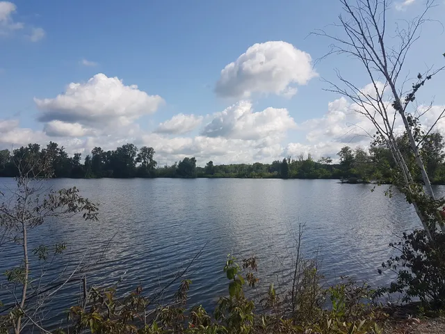 Waterford North Conservation Area